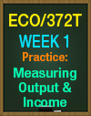 ECO/372T Week 1 Measuring Output & Income